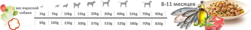 Adragna Puppy all Size